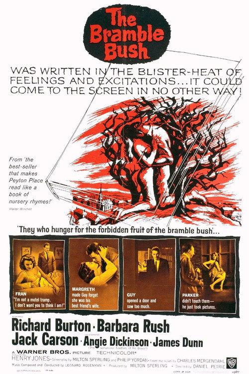 The Bramble Bush 1960 official movie poster