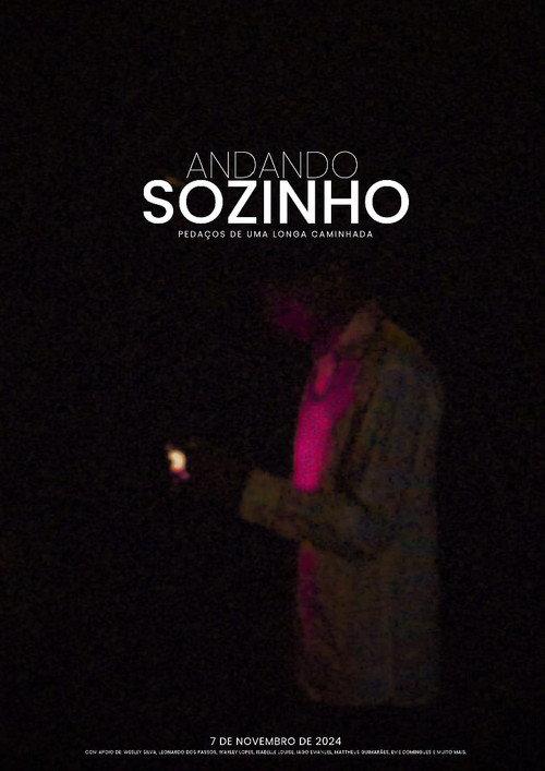 Caminhando Sozinho 2024 official movie poster