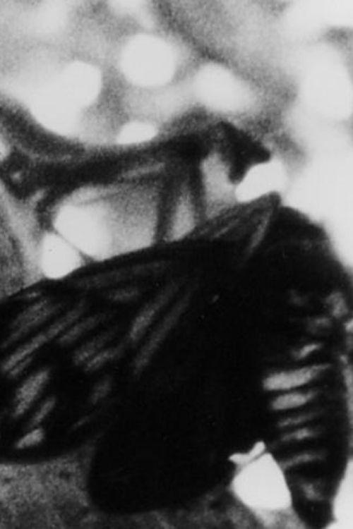 A CICADA 1985 official movie poster