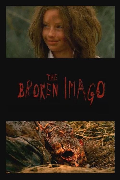 The Broken Imago 2008 official movie poster