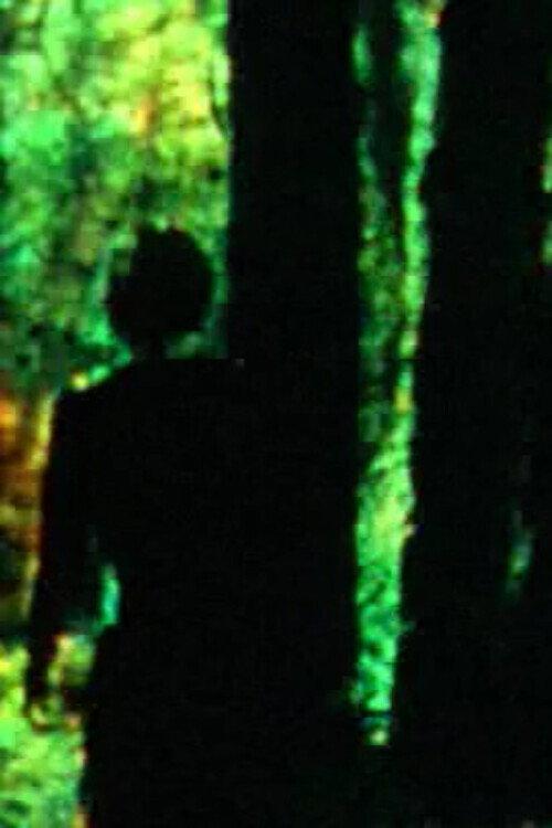 Meandering 2015 official movie poster
