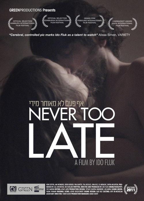 Never Too Late 2011 official movie poster