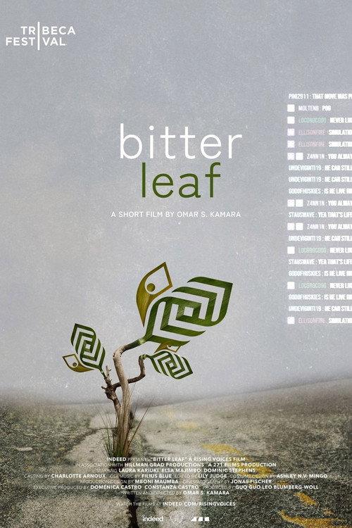 Bitter Leaf 2024 official movie poster