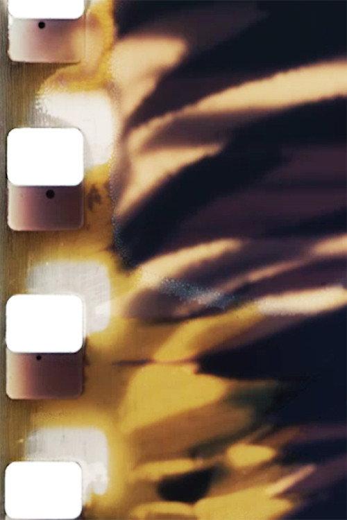Filmabuse (Original) 1975 official movie poster