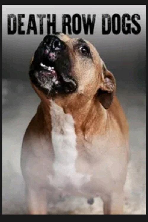Death Row Dogs 2012 official movie poster