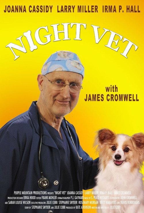 Night Vet 2014 official movie poster