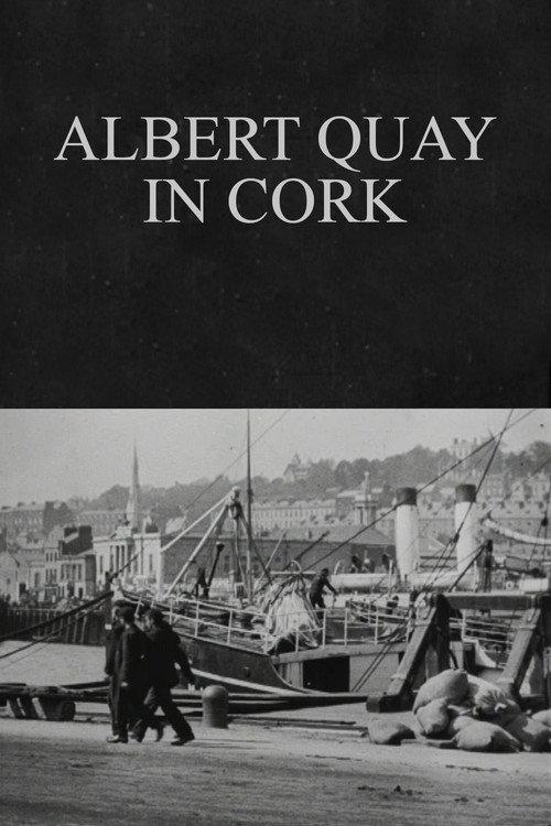 Albert Quay in Cork 1902 official movie poster