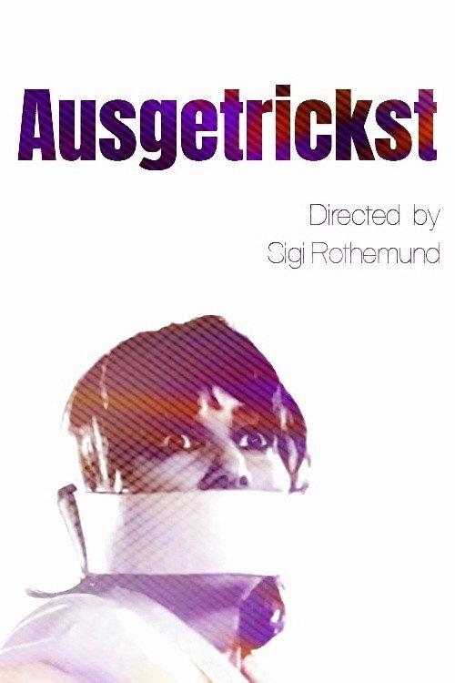 Ausgetrickst 1991 official movie poster