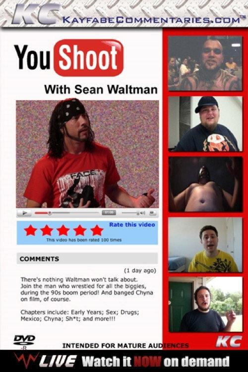 YouShoot: Sean Waltman 2010 official movie poster
