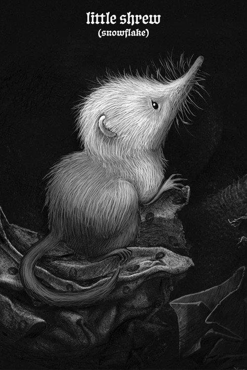 Little Shrew (Snowflake) 2025 official movie poster