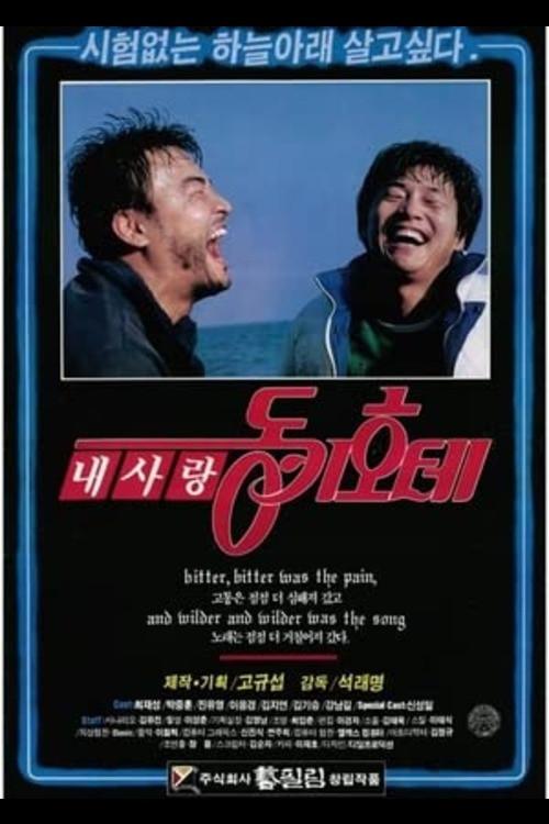 My Love, Don Quixote 1989 official movie poster