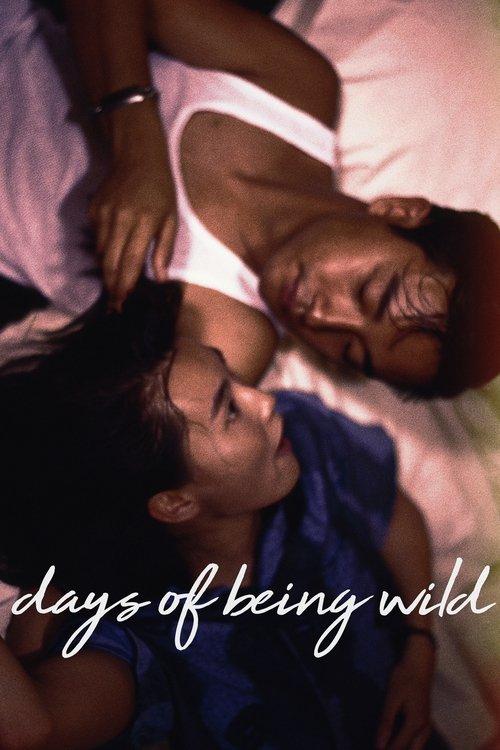 Days of Being Wild 1990 official movie poster