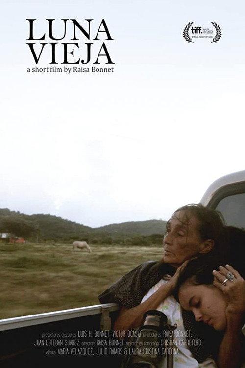 Luna vieja 2013 official movie poster