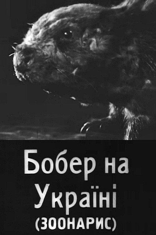Beavers in Ukraine 1931 official movie poster