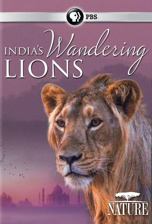 India's Wandering Lions 2016 official movie poster
