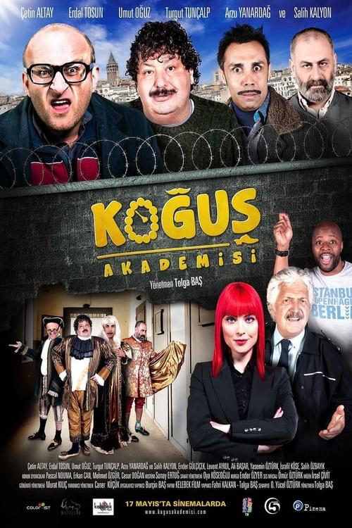Dorm Academy 2013 official movie poster