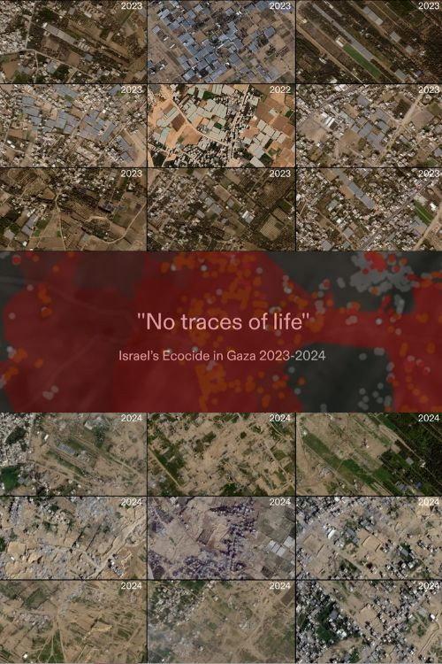No Traces of Life 2024 official movie poster