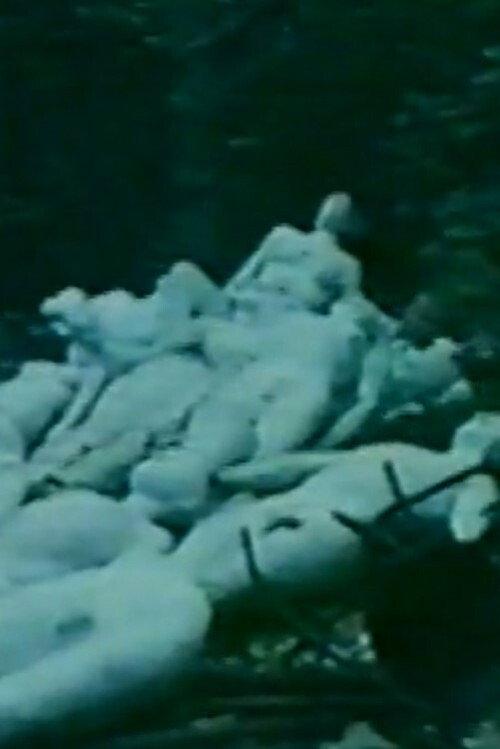 Heavenly Bodies 1982 official movie poster