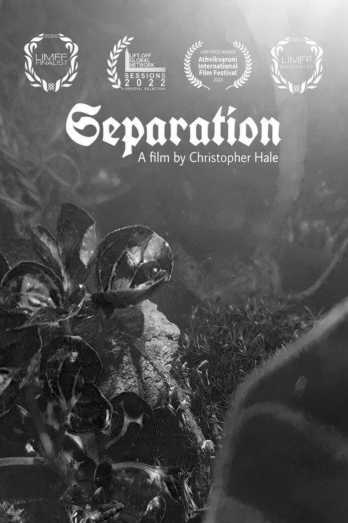 Separation 2022 official movie poster