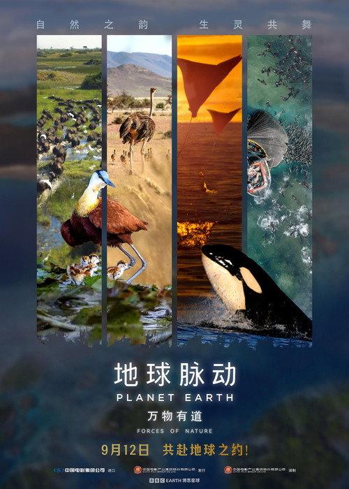 Planet Earth: Forces of Nature 2025 official movie poster