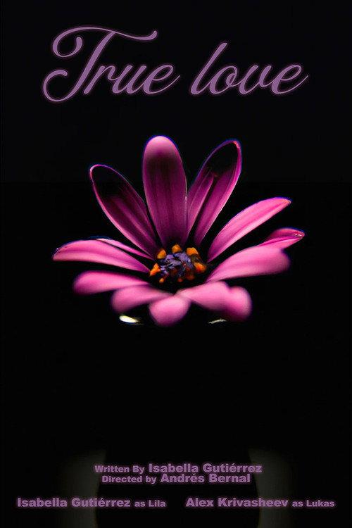 True Love 2024 official movie poster