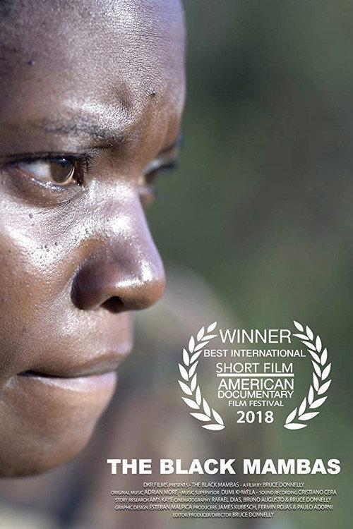 The Black Mambas 2018 official movie poster