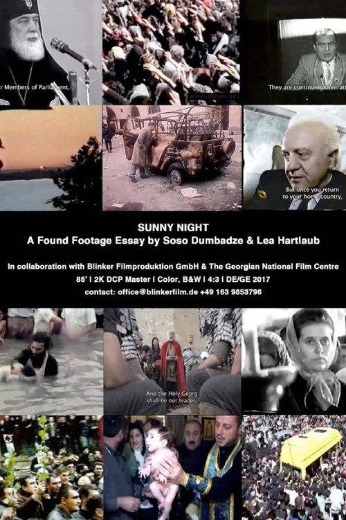 Sunny Night 2017 official movie poster