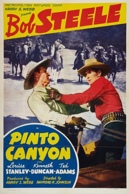Pinto Canyon 1940 official movie poster