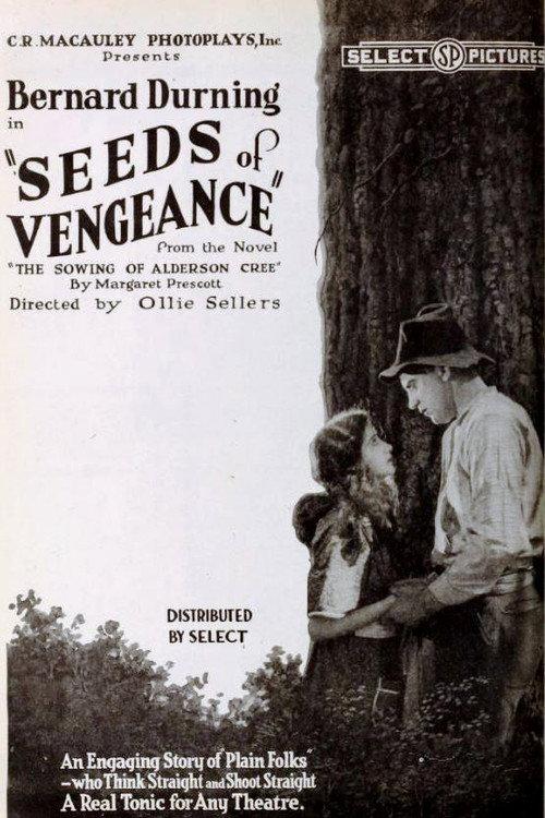 Seeds of Vengeance 1920 official movie poster