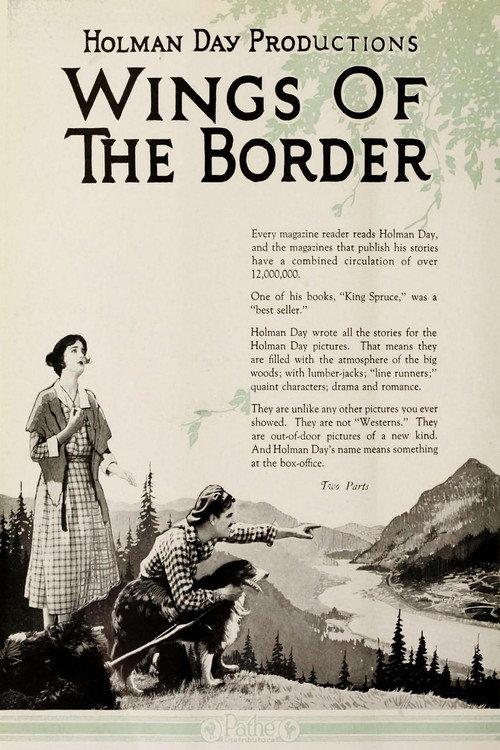 Wings of the Border 1921 official movie poster
