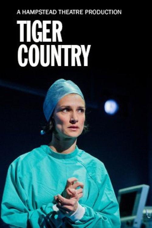 Hampstead Theatre At Home: Tiger Country 2014 official movie poster