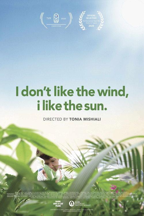 I Don't Like the Wind, I Like the Sun 2020 official movie poster