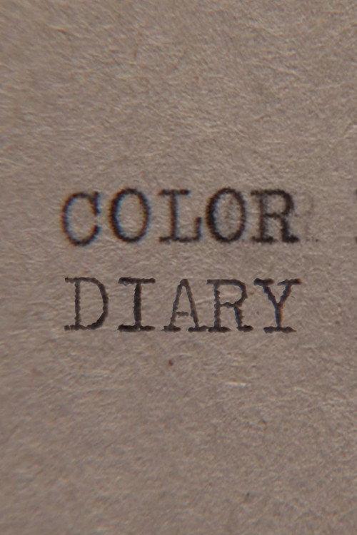Color Diary 2013 official movie poster