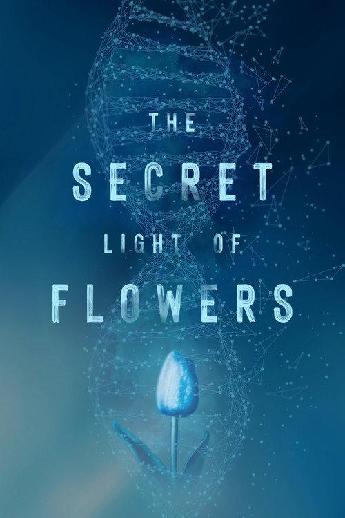 The Secret Light of Flowers 2023 official movie poster