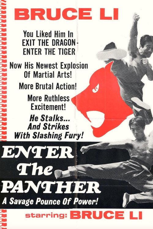 Enter the Panther 1975 official movie poster