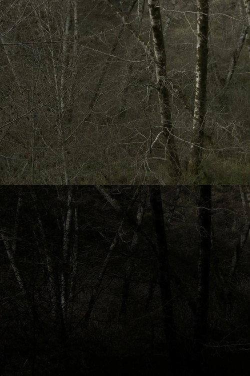 SWANTON ROAD  official movie poster