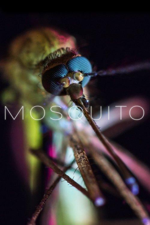Mosquito 2017 official movie poster