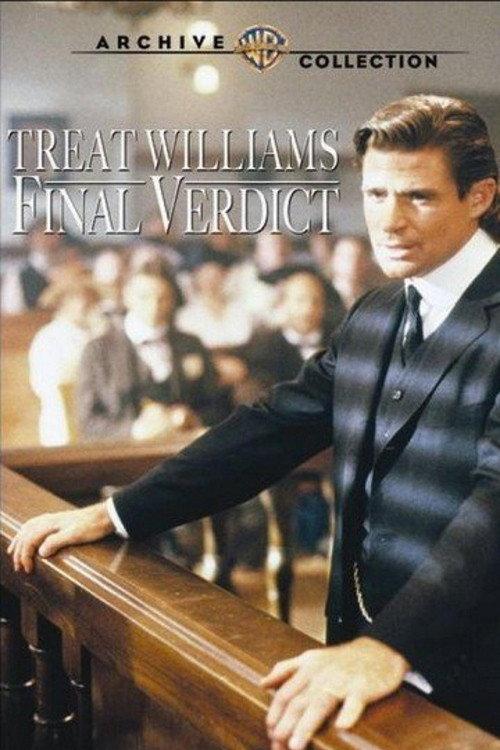 Final Verdict 1991 official movie poster