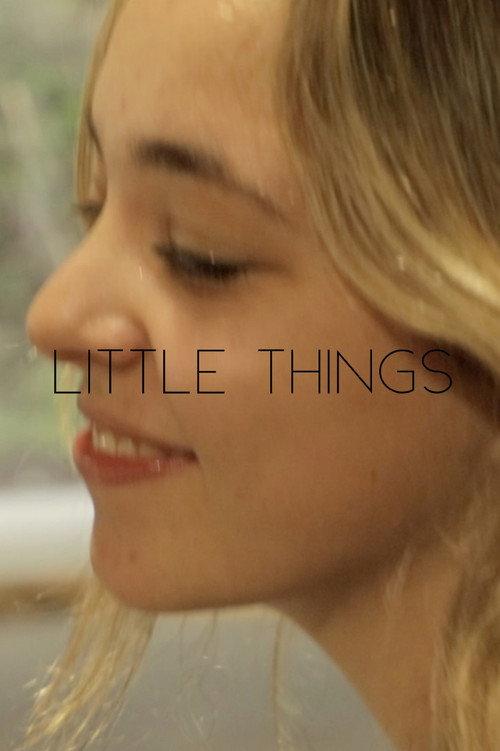 Little Things 2022 official movie poster