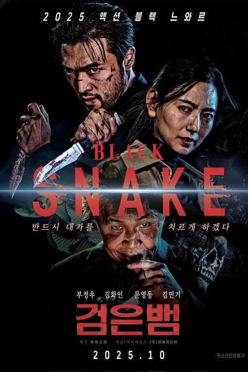 Black Snake 2025 official movie poster