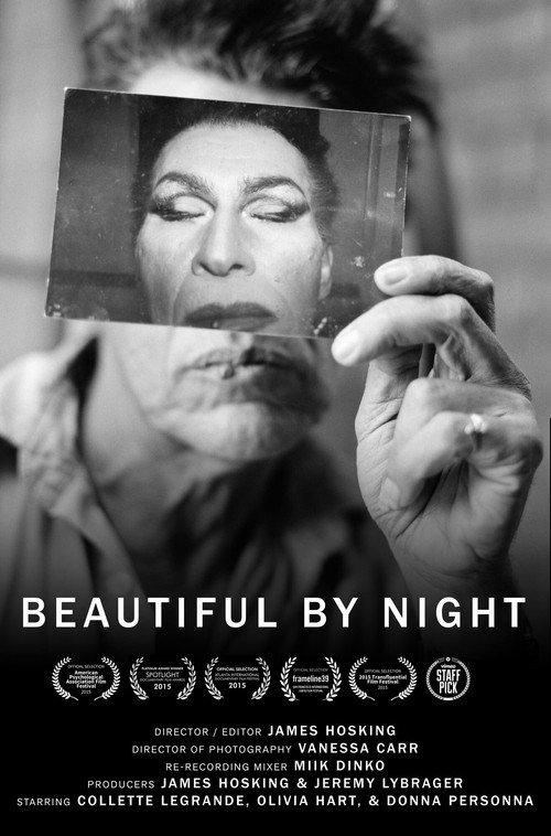 Beautiful by Night 2014 official movie poster