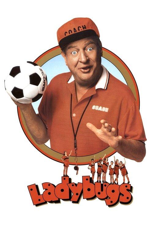 Ladybugs 1992 official movie poster