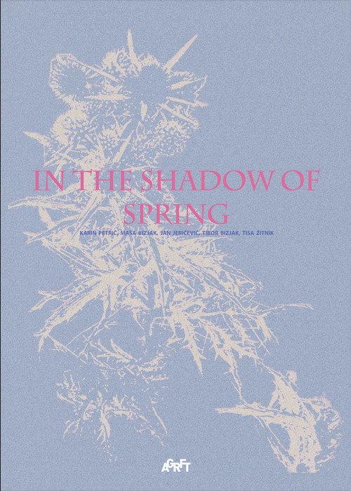 In the Shadow of Spring 2024 official movie poster