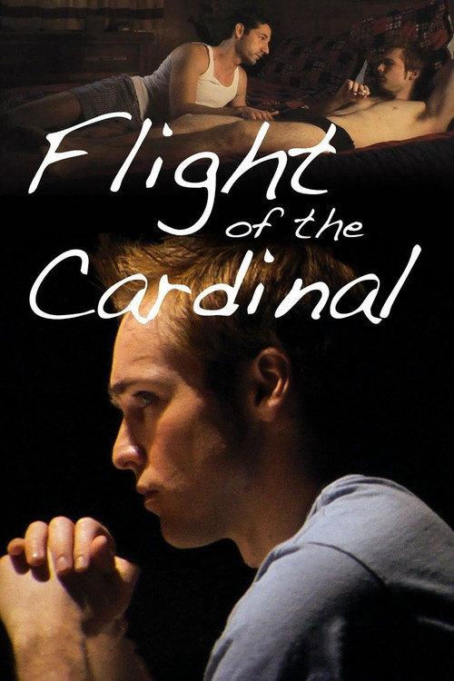 Flight of the Cardinal 2010 official movie poster