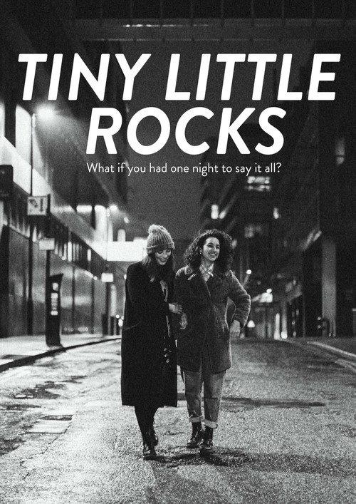 Tiny Little Rocks 2019 official movie poster