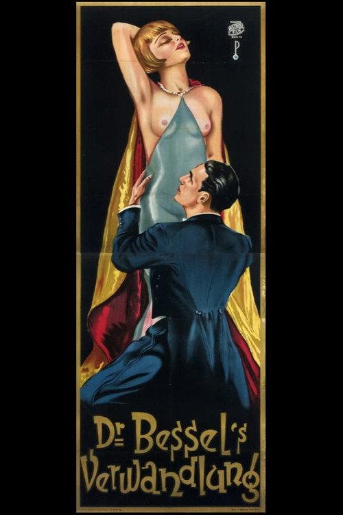 The Fugitive Lover 1927 official movie poster