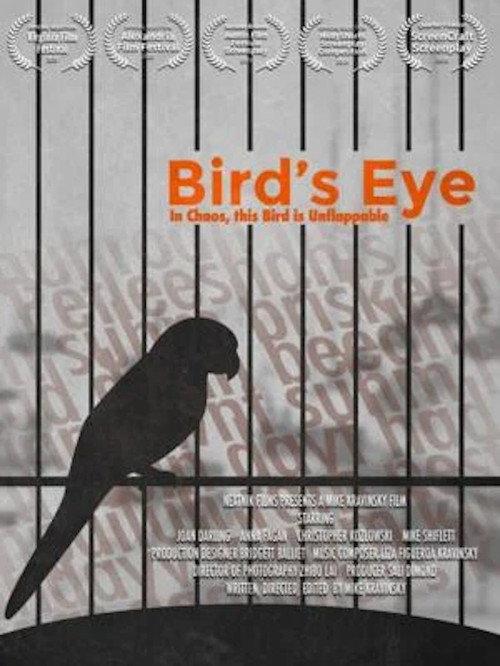Bird's Eye 2020 official movie poster