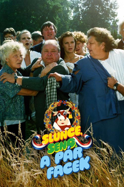 Sun, Hay and a Couple of Slaps 1989 official movie poster