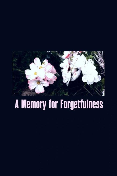 A Memory For Forgetfulness 2011 official movie poster