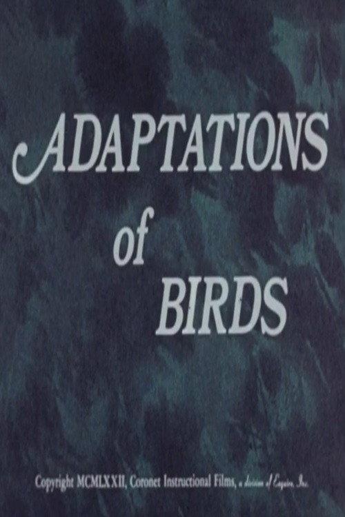 Adaptations of Birds 1972 official movie poster